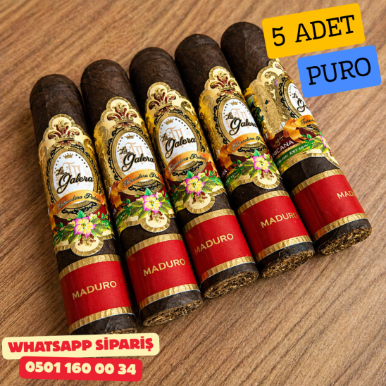 La Galera Maduro Half Corona 5’li Puro Paket