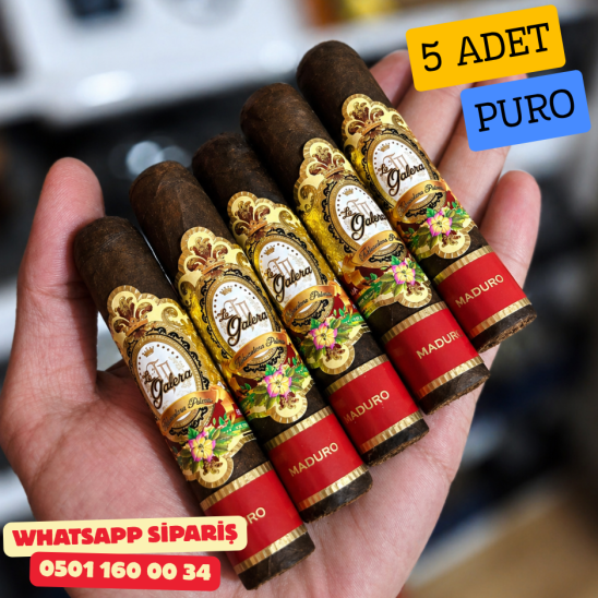 La Galera Maduro Half Corona 5’li Puro Paket