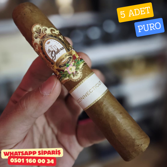 La Galera C Plns 560 – 1 Adet Puro