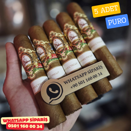 La Galera C Plns 560 – 5'li Premium Puro Paket