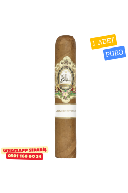 La Galera C Plns 560 – 1 Adet Puro