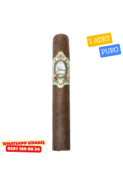La Galera Habano Robusto 550 – 1 Adet Puro
