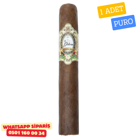 La Galera Habano Robusto 550 – 1 Adet Puro