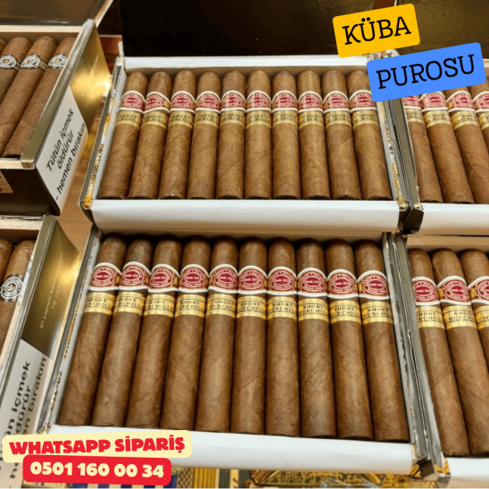 Romeo Y Julieta Short Churchills 10'lu Puro Kutu Romeo Y Julieta Short Churchills 10'lu Puro Kutu