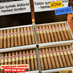 Romeo Y Julieta Short Churchills 10'lu Puro Kutu