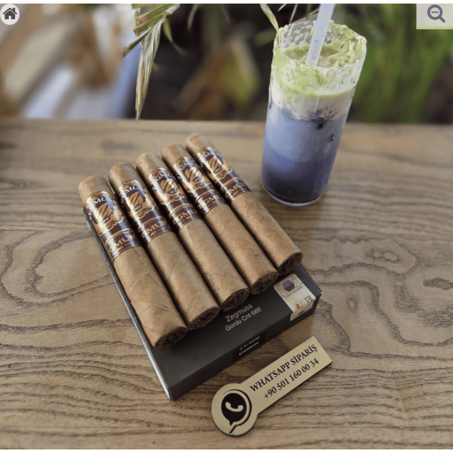 Zegmuss Gordo Connecticut 660 - 5'li Puro Paket