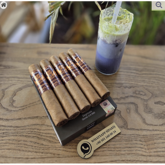 Zegmuss Gordo Connecticut 660 - 5'li Puro Paket