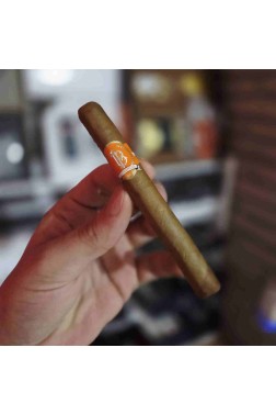 La Parmedo Connecticut Viso 435 – 1 Adet Puro