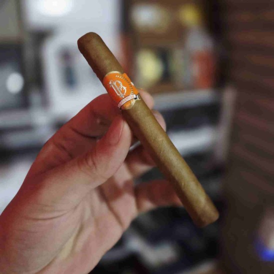 La Parmedo Connecticut Viso 435 – 5li Puro Paket