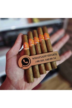 La Parmedo Connecticut Viso 435 – 5li Puro Paket