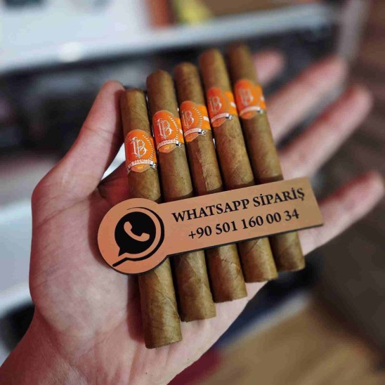 La Parmedo Connecticut Viso 435 – 5li Puro Paket