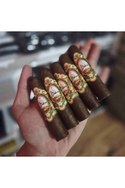 La Galera Habano Half Corona 5li Puro Paket