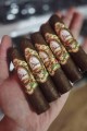 La Galera Habano Half Corona 5li Puro Paket