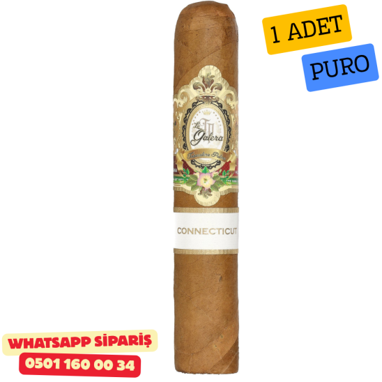 La Galera Connecticut Pilones 560 - 1 Adet Puro