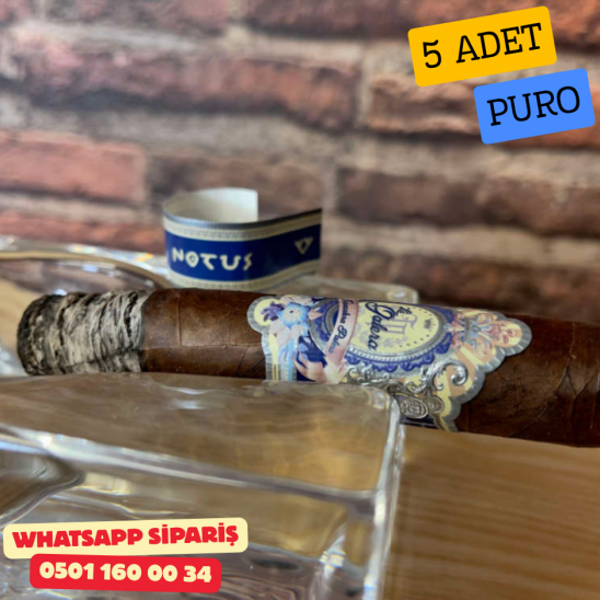 La Galera Anemoi Notus 556 5li Puro Paket