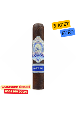 La Galera Anemoi Notus 556 5li Puro Paket