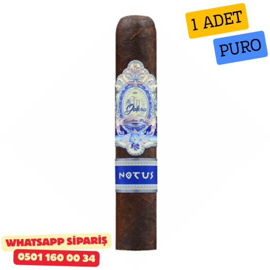 La Galera Anemoi Notus 556 - 1 Adet Puro