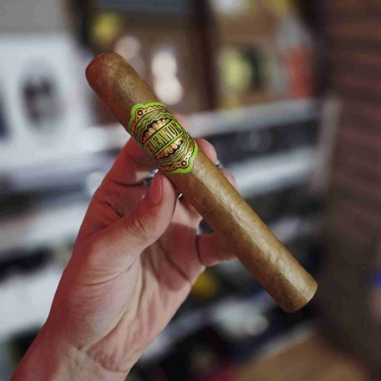 Eleanor No4 Cañonazo - 10lu Puro Paket Eleanor No4 Cañonazo - 10lu Puro Paket