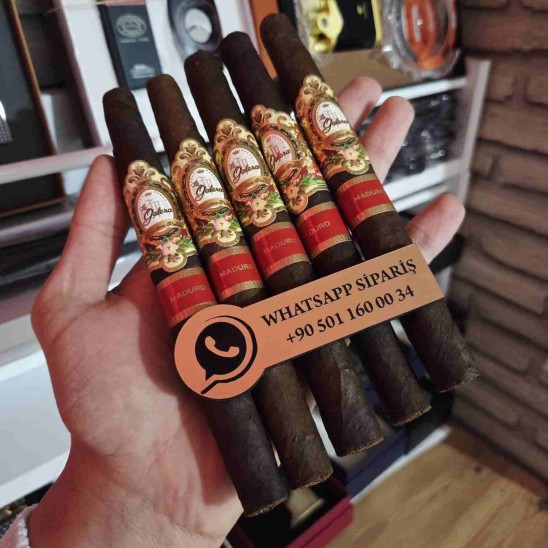 La Galera Moduro GaVillero 648 5li Puro Paket