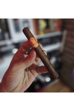 La Parmedo Habano Viso 436 – 1 Adet Puro