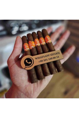 La Parmedo Habano Viso 436 – 5li Puro Paket