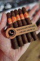 La Parmedo Habano Viso 436 – 5li Puro Paket La Parmedo Habano Viso 436 – 5li Puro Paket