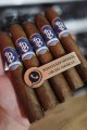 La Parmedo Habano Criollo 664 – 5li Puro Paket La Parmedo Habano Criollo 664 – 5li Puro Paket