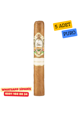 La Galera Connecticut El Lector 5li Puro Paket