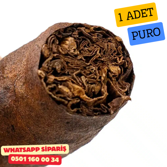Toscano Robusto 1 Adet Puro Toscano Robusto 1 Adet Puro