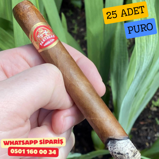 Partagas Super 25li Puro Kutu