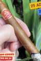Partagas Super 25li Puro Kutu