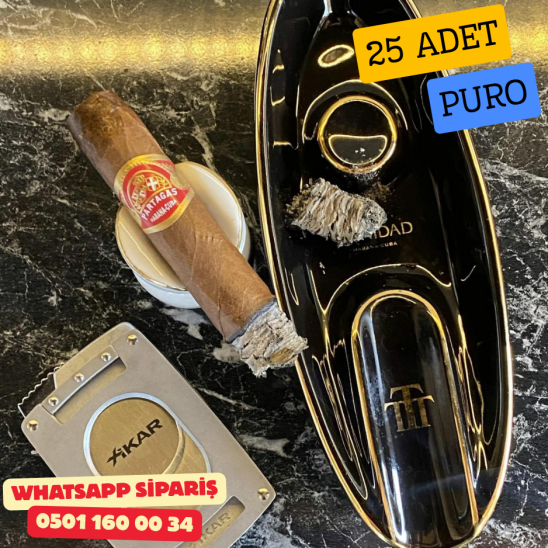 Partagas Super 25li Puro Kutu