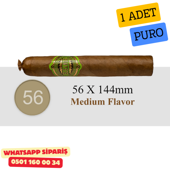 Eleanor No7 Olman 54 - 1 Adet Puro Eleanor No7 Olman 54 - 1 Adet Puro