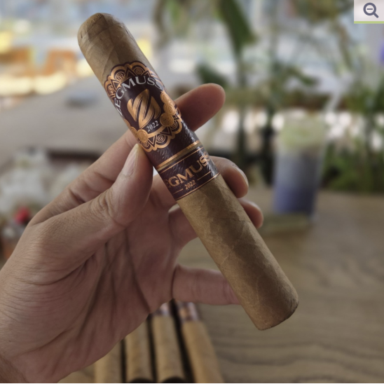 Zegmuss Gordo Connecticut 660 - 5'li Puro Paket