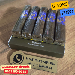 Zegmuss Petit Robusto 3550 - 5'li Puro Paket