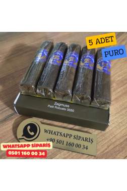 Zegmuss Petit Robusto 3550 - 5'li Puro Paket