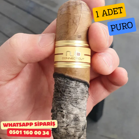 Nub Connecticut 460 1 Adet Puro