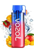 Vozol Neon 10000 PUFF