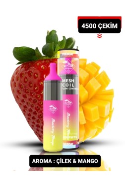 Strawberry Mango Tek Kullanımlık 4500 Puffs