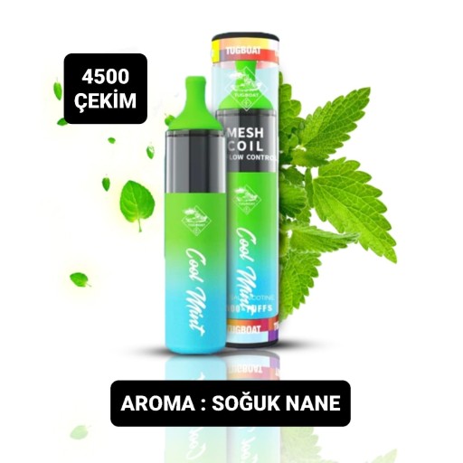 Cool Mint Tek Kullanımlık 4500 Puffs