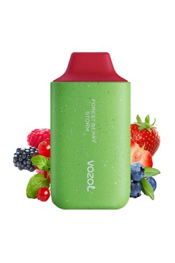 Vozol Forest Berry Storm 6000 PUFF